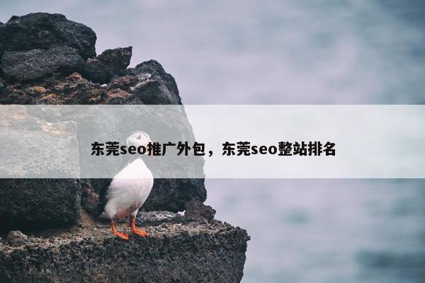 东莞seo推广外包，东莞seo整站排名