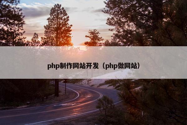 php制作网站开发（php做网站）