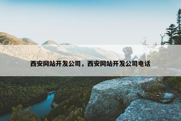 西安网站开发公司，西安网站开发公司电话