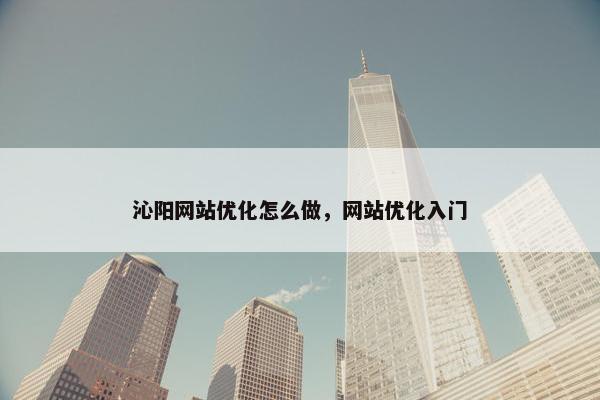 沁阳网站优化怎么做，网站优化入门