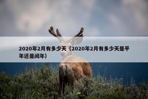 2020年2月有多少天（2020年2月有多少天是平年还是闰年）