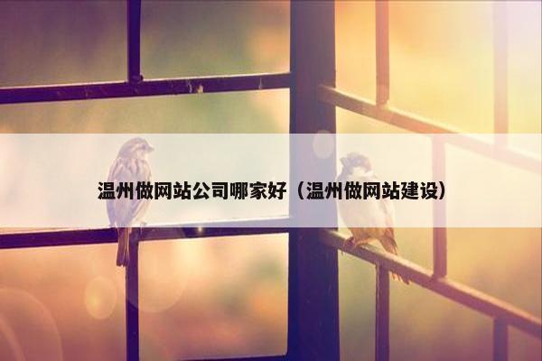 温州做网站公司哪家好（温州做网站建设）