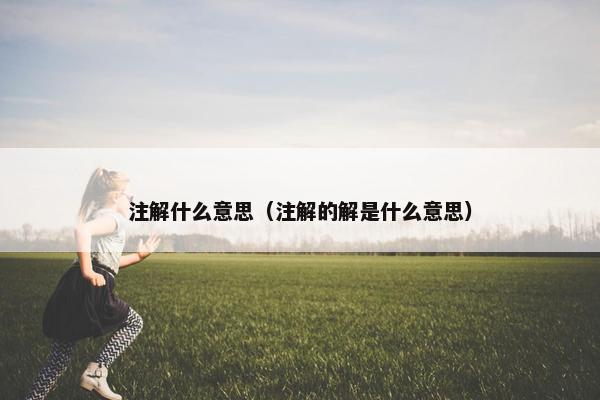 注解什么意思（注解的解是什么意思）