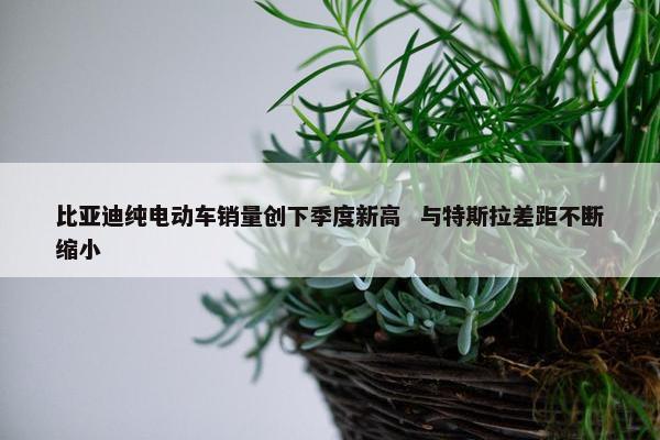 比亚迪纯电动车销量创下季度新高  与特斯拉差距不断缩小