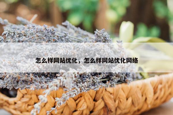 怎么样网站优化，怎么样网站优化网络