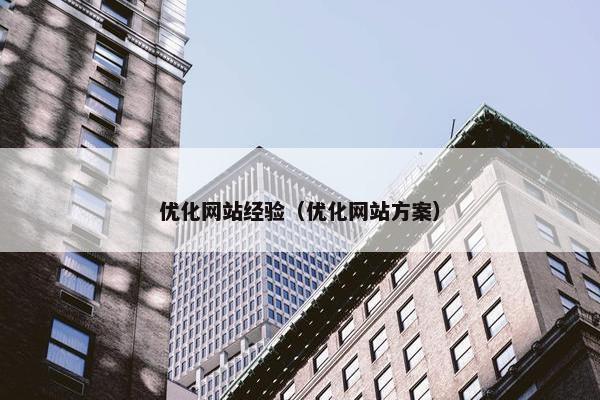 优化网站经验（优化网站方案）