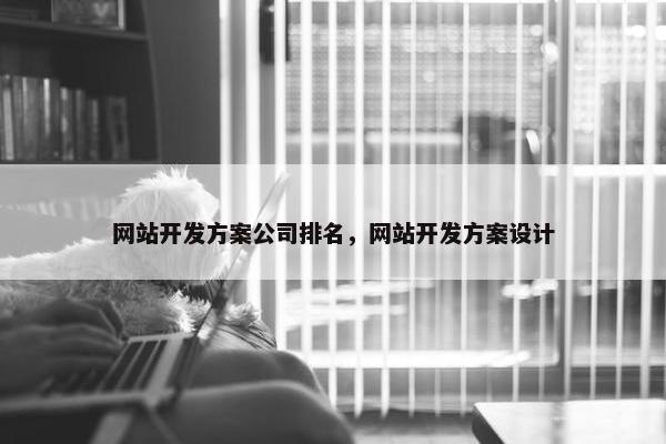 网站开发方案公司排名，网站开发方案设计