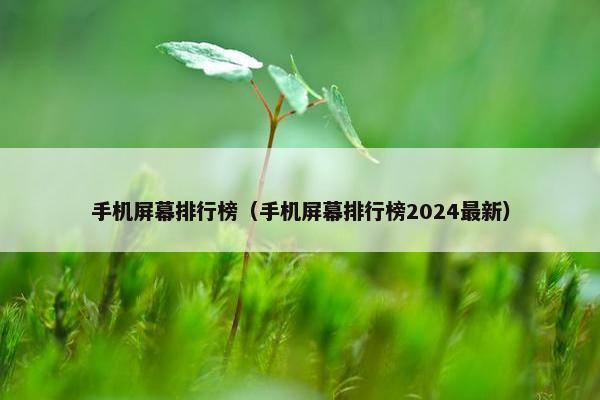 手机屏幕排行榜（手机屏幕排行榜2024最新）