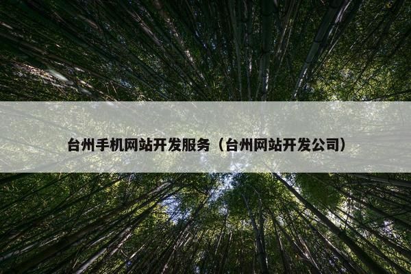 台州手机网站开发服务（台州网站开发公司）