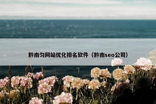 黔南匀网站优化排名软件（黔南seo公司）