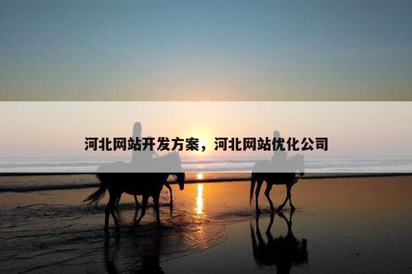 河北网站开发方案，河北网站优化公司