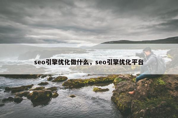 seo引擎优化做什么，seo引擎优化平台