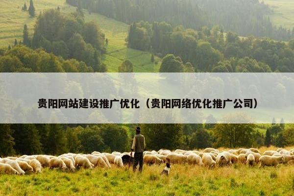 贵阳网站建设推广优化（贵阳网络优化推广公司）