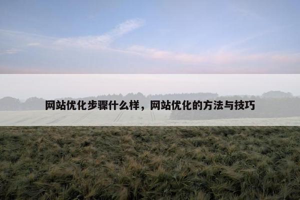 网站优化步骤什么样，网站优化的方法与技巧