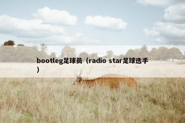 bootleg足球员（radio star足球选手）