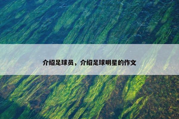 介绍足球员，介绍足球明星的作文