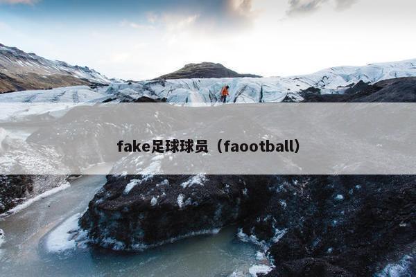 fake足球球员（faootball）