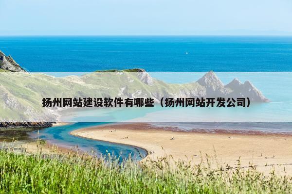 扬州网站建设软件有哪些（扬州网站开发公司）