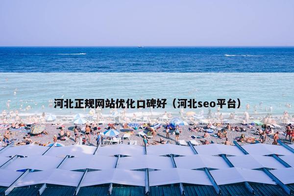 河北正规网站优化口碑好（河北seo平台）