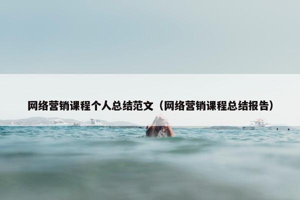 网络营销课程个人总结范文（网络营销课程总结报告）