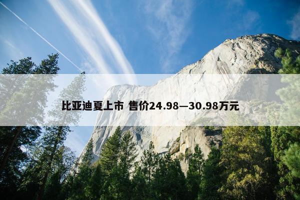 比亚迪夏上市 售价24.98—30.98万元