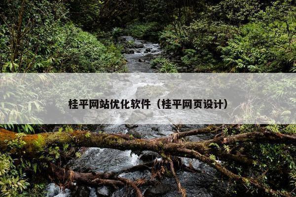 桂平网站优化软件（桂平网页设计）