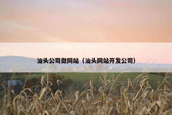 汕头公司做网站（汕头网站开发公司）