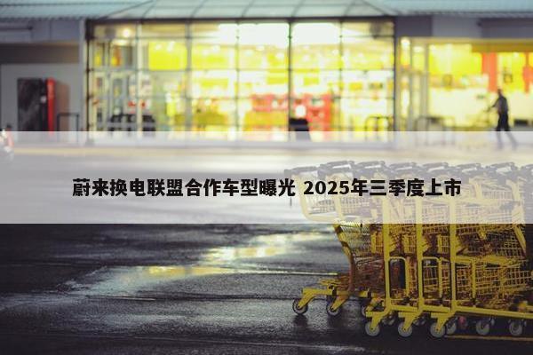 蔚来换电联盟合作车型曝光 2025年三季度上市