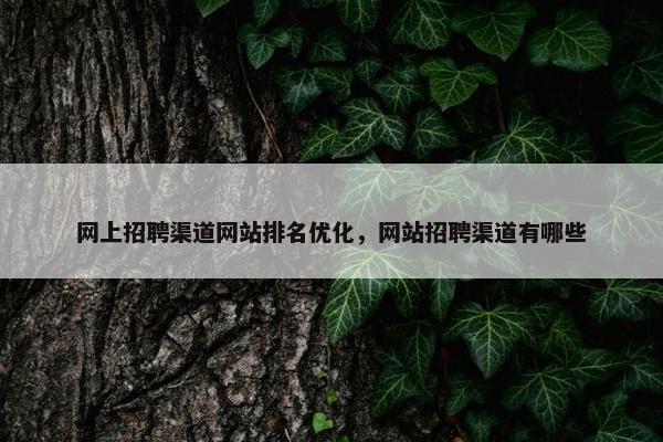 网上招聘渠道网站排名优化，网站招聘渠道有哪些