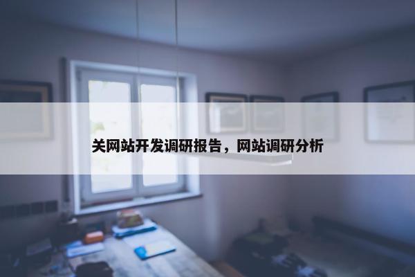 关网站开发调研报告，网站调研分析