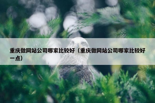 重庆做网站公司哪家比较好（重庆做网站公司哪家比较好一点）