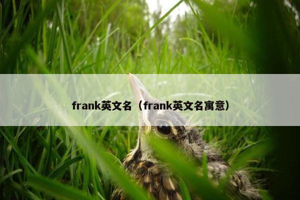 frank英文名（frank英文名寓意）