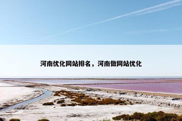 河南优化网站排名，河南做网站优化