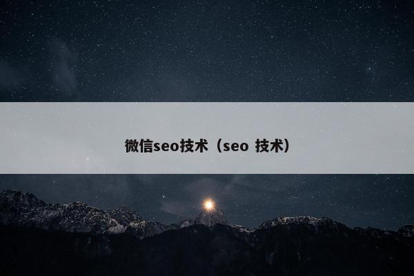 微信seo技术（seo 技术）