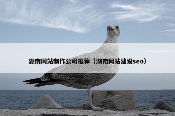 湖南网站制作公司推荐（湖南网站建设seo）