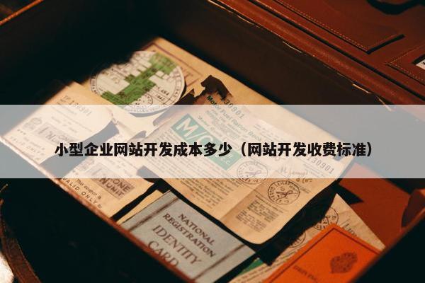 小型企业网站开发成本多少（网站开发收费标准）