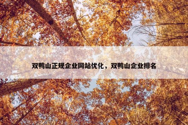 双鸭山正规企业网站优化，双鸭山企业排名