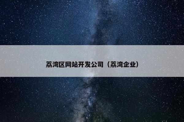 荔湾区网站开发公司（荔湾企业）