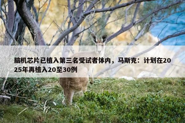 脑机芯片已植入第三名受试者体内，马斯克：计划在2025年再植入20至30例