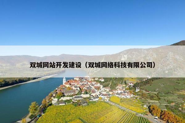 双城网站开发建设（双城网络科技有限公司）