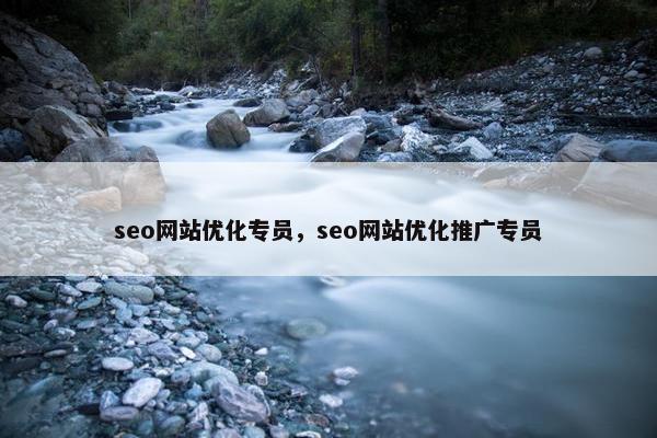 seo网站优化专员，seo网站优化推广专员