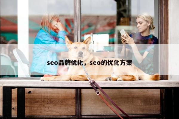 seo品牌优化，seo的优化方案