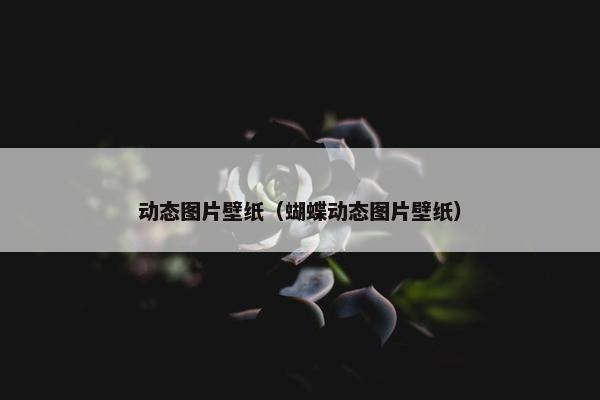 动态图片壁纸（蝴蝶动态图片壁纸）