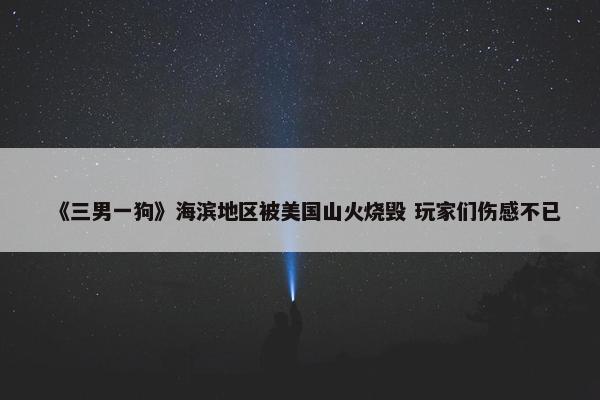 《三男一狗》海滨地区被美国山火烧毁 玩家们伤感不已