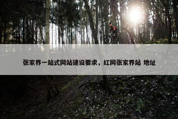 张家界一站式网站建设要求，红网张家界站 地址