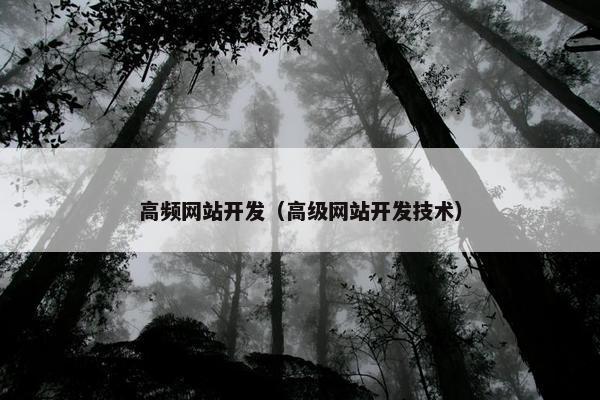 高频网站开发（高级网站开发技术）