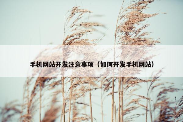 手机网站开发注意事项（如何开发手机网站）