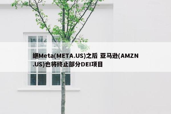 继Meta(META.US)之后 亚马逊(AMZN.US)也将终止部分DEI项目