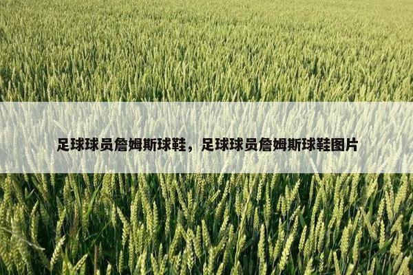 足球球员詹姆斯球鞋，足球球员詹姆斯球鞋图片