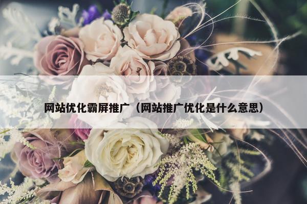 网站优化霸屏推广（网站推广优化是什么意思）